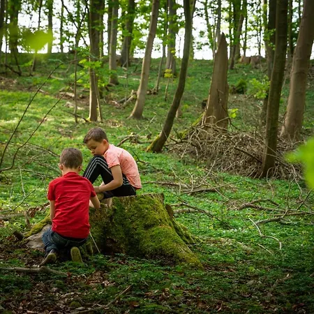Accommodatie bij particulieren Fantastic Nature House